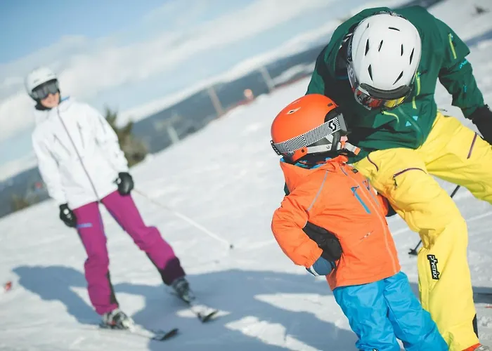 Jaktstuga Gudbrandsgard Hyttegrend *