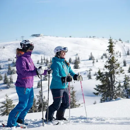 Gudbrandsgard Hyttegrend Lodge *